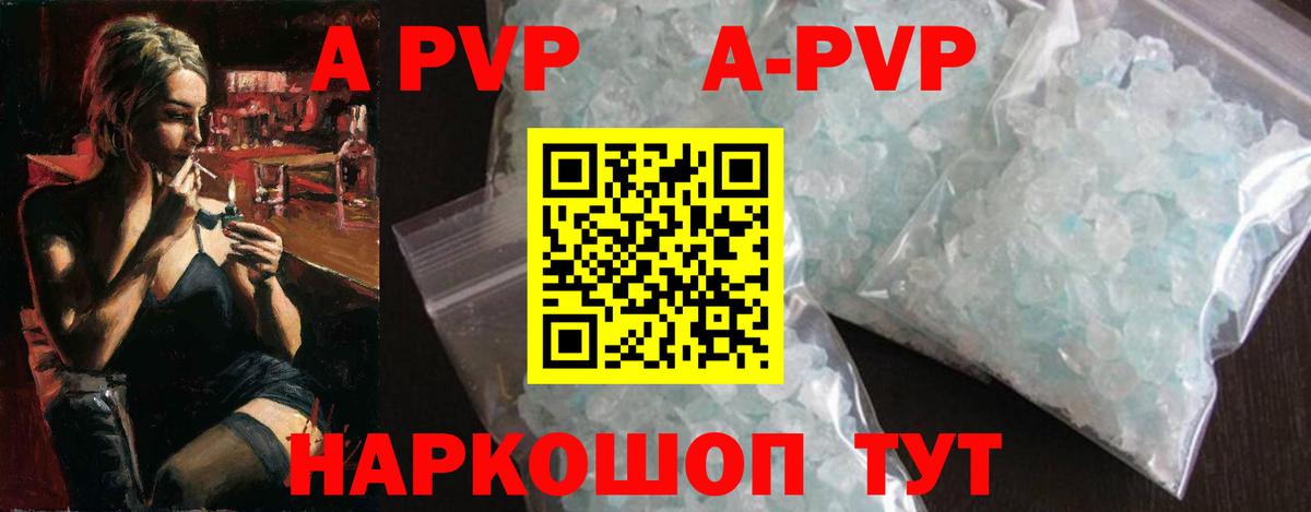 APVP СК Кингисепп