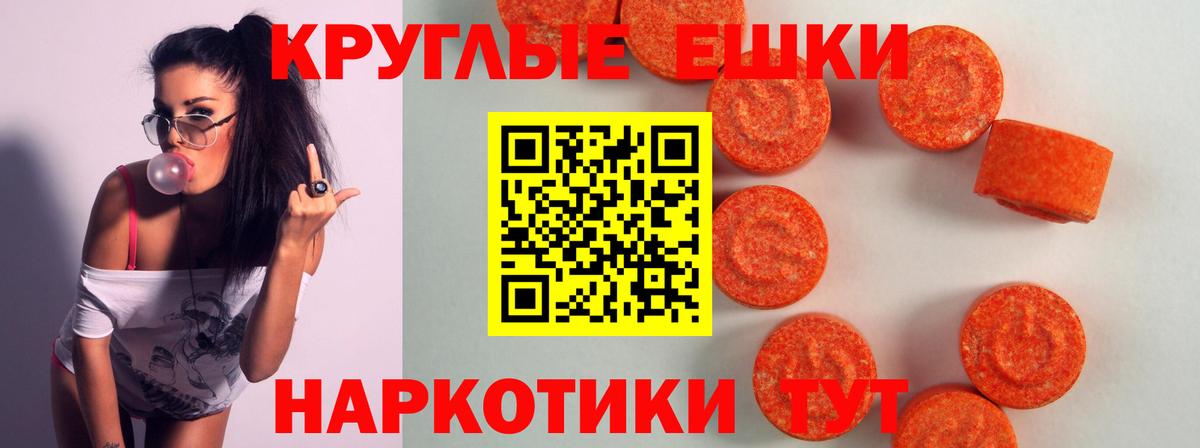 Ecstasy бентли Кингисепп