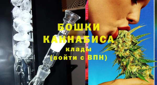 спайс Покачи