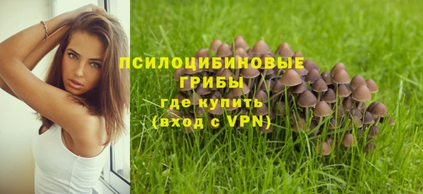 а пвп мука Абинск