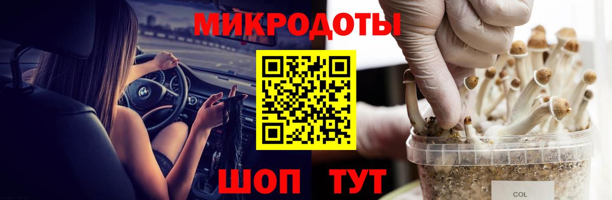 Кингисепп  Галлюциногенные грибы MAGIC MUSHROOMS  Вход с VPN 