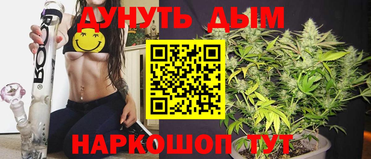 Шишки марихуана марихуана Кингисепп